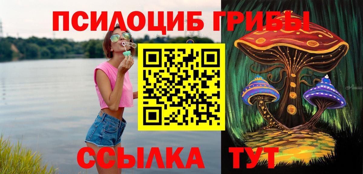 Кузнецк  Галлюциногенные грибы Magic Shrooms  закладки  Вход с VPN  Псилоцибиновые грибы Psilocybine cubensis 